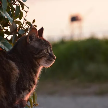Casa de Férias Face Et Plage, Entre Michel Et Brevin *